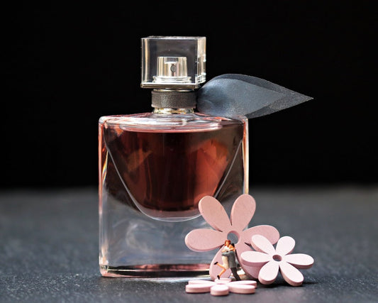 The Ultimate Guide to Perfumes - MAKNZ PERFUMES