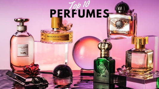 Top Fragrances For 2024: A Beginner’s Guide - MAKNZ PERFUMES