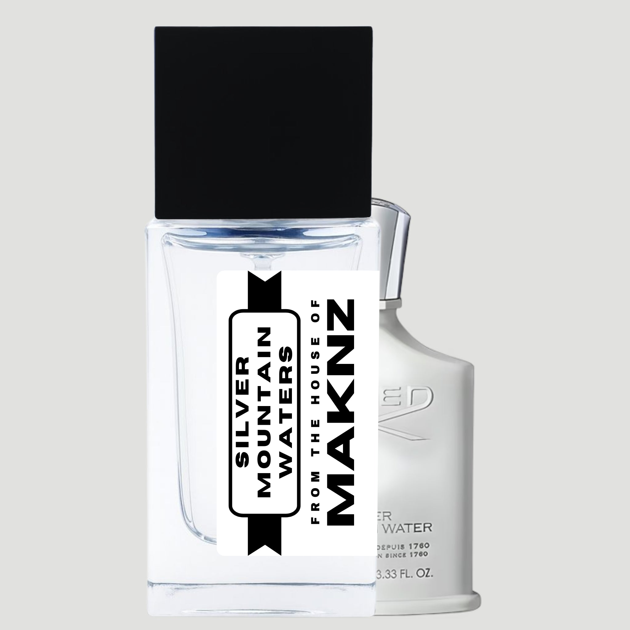 SILVER MOUNTAIN WATERS