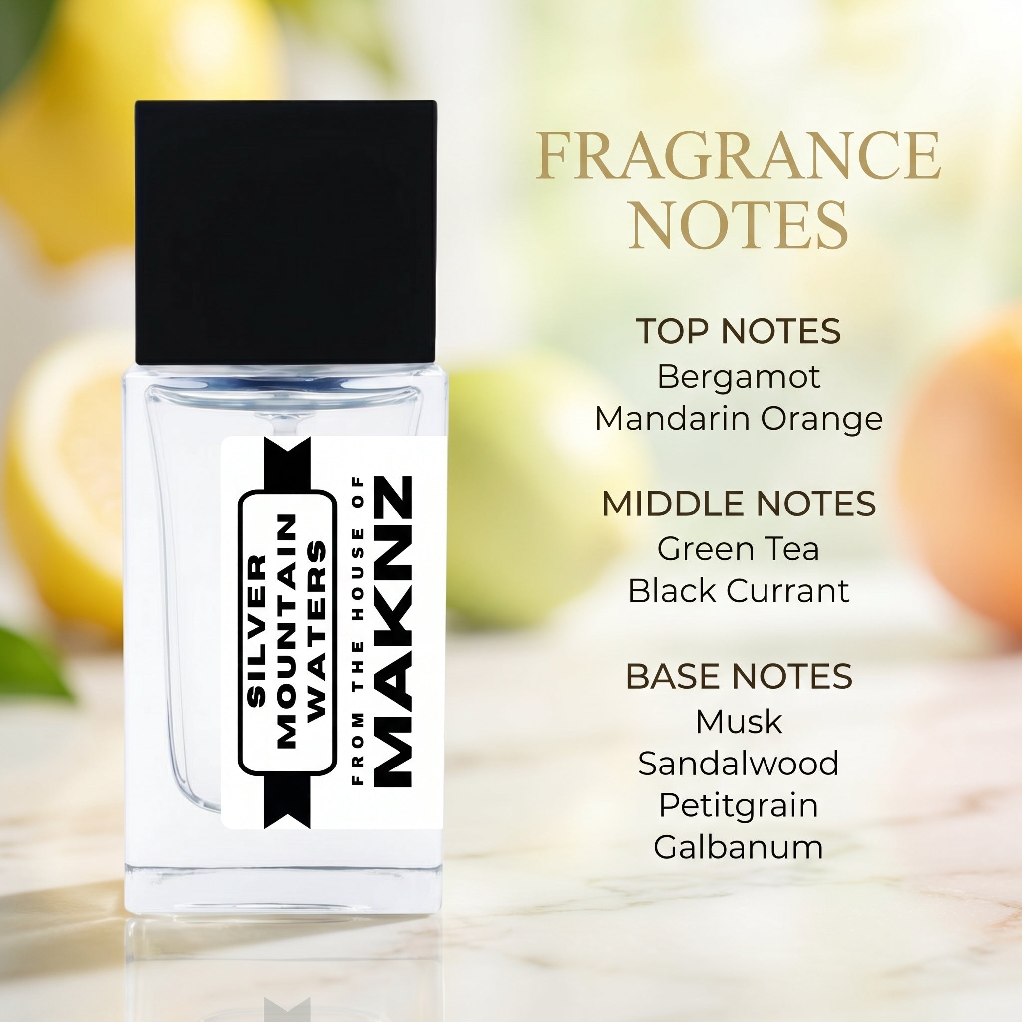 SILVER MOUNTAIN WATERS