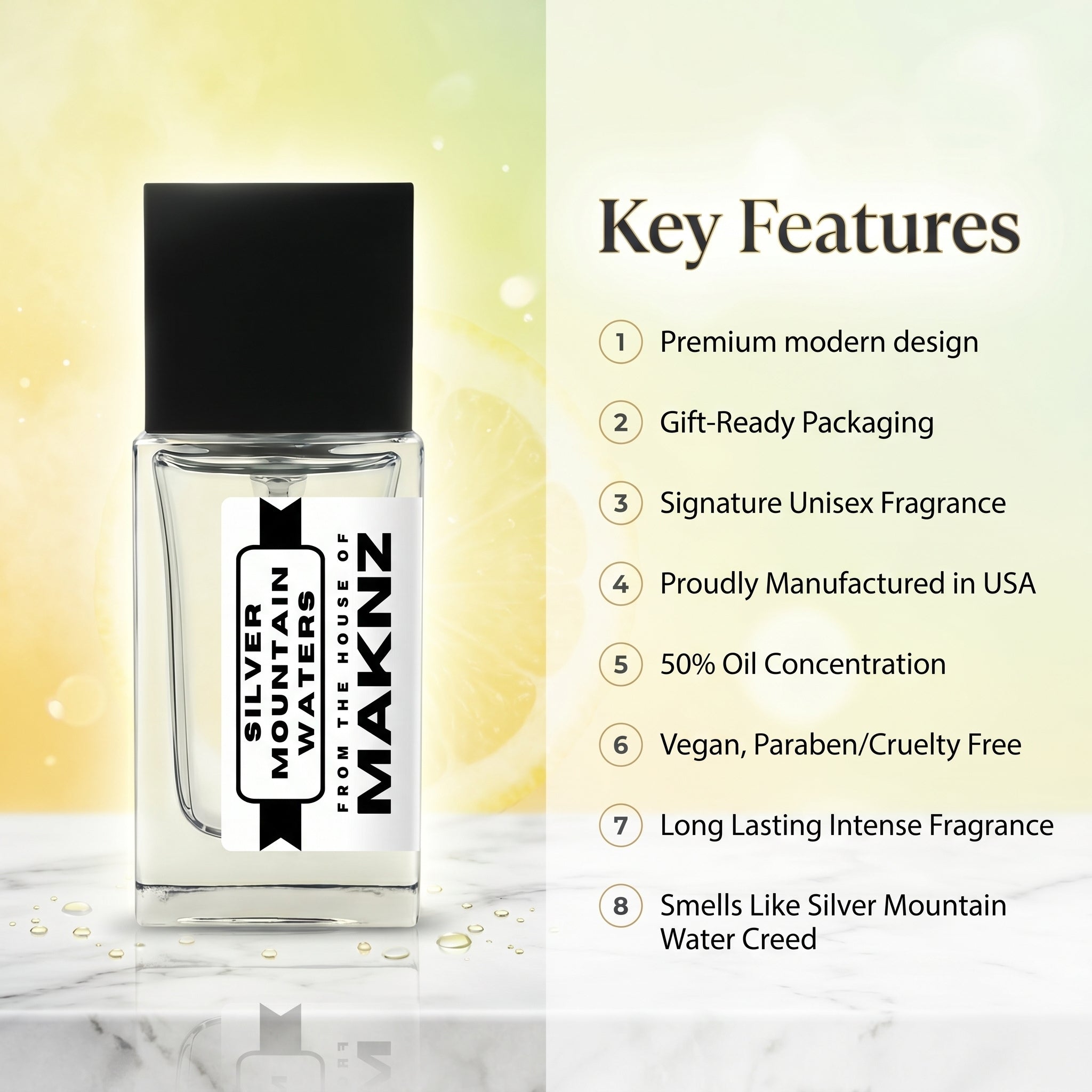 SILVER MOUNTAIN WATERS