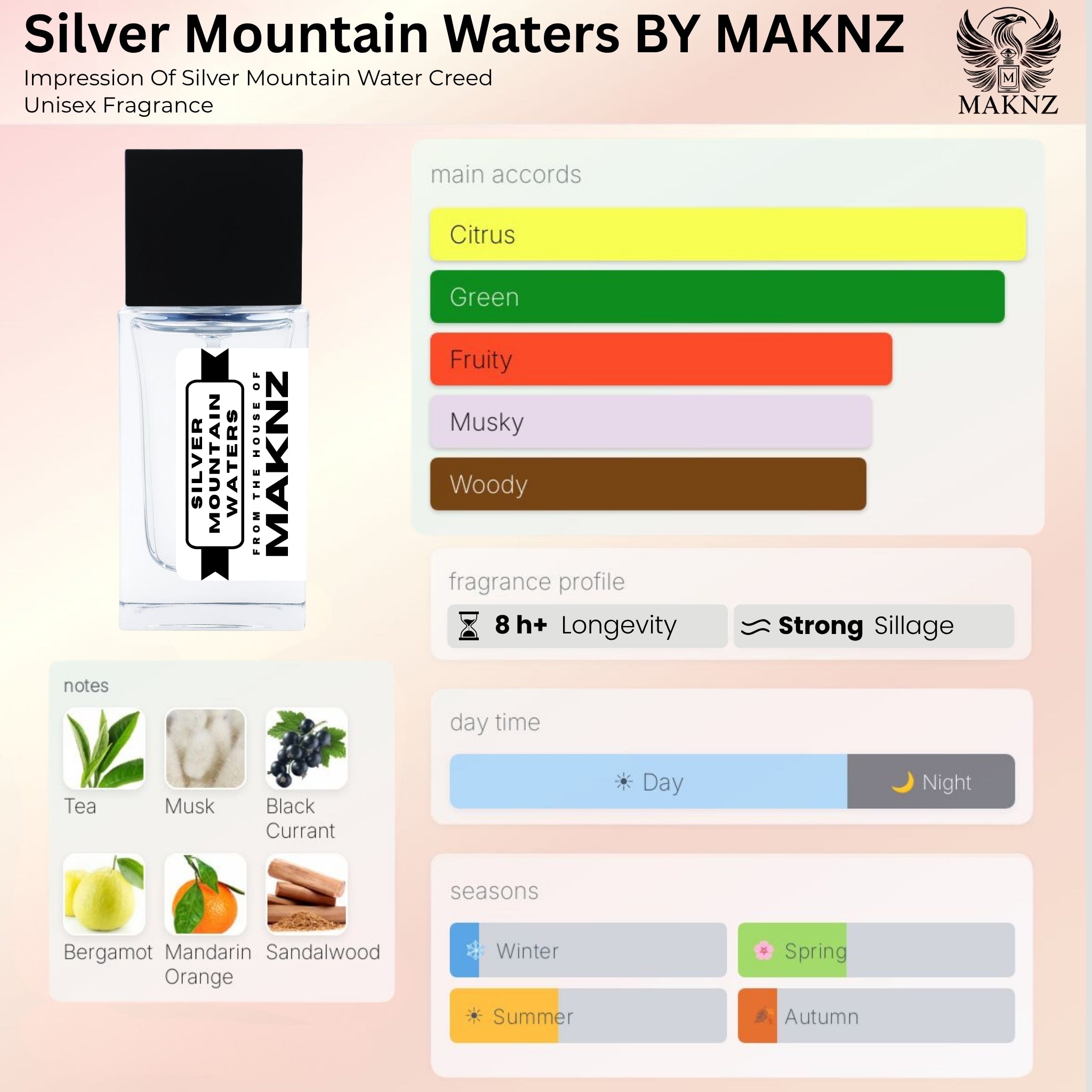 SILVER MOUNTAIN WATERS