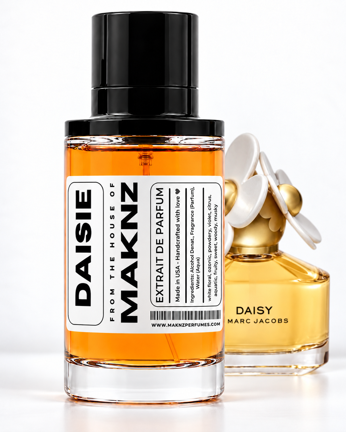 DAISIE