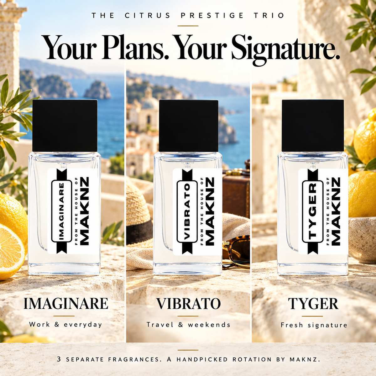 Imaginare for work and everyday, Vibrato for travel and weekends, Tyger as a fresh signature